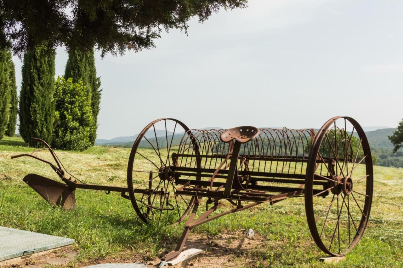 Agriturismo Il Felciaione Massa Marittima Ngoại thất bức ảnh