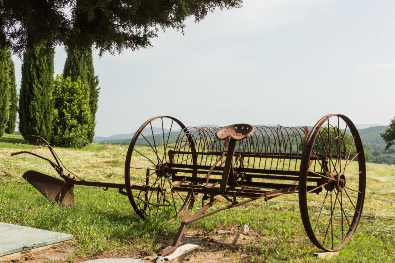 Agriturismo Il Felciaione Villa Massa Marittima Ngoại thất bức ảnh